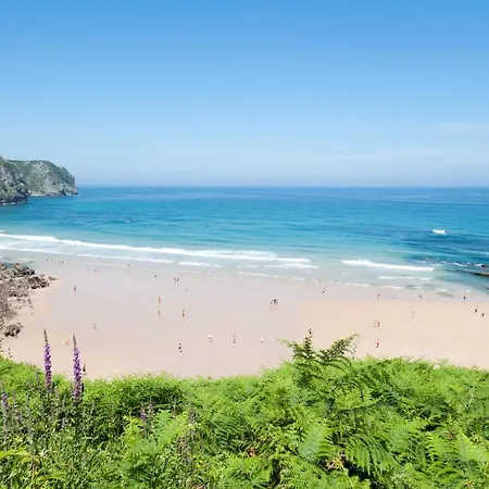 La Vega De * Pendueles